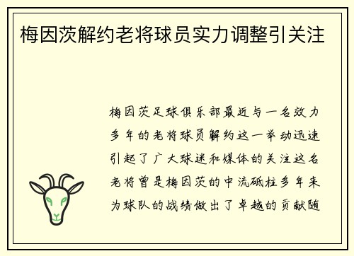 梅因茨解约老将球员实力调整引关注